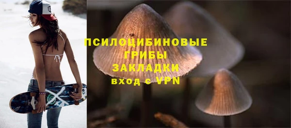 прущие грибы Алексин