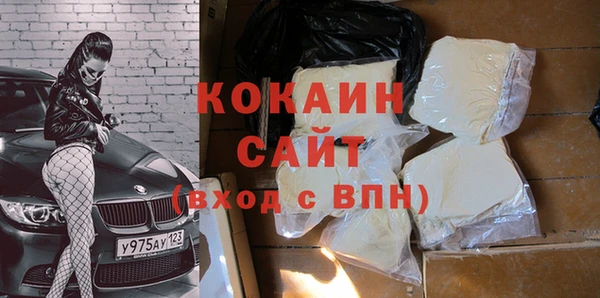 прущие грибы Алексин