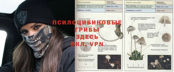 прущие грибы Алексин